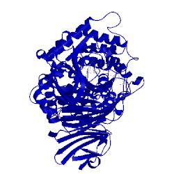 Image of CATH 1loh