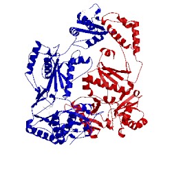 Image of CATH 1lwc