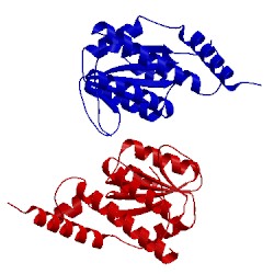 Image of CATH 1m3s