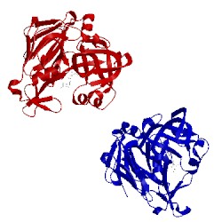 Image of CATH 1me6