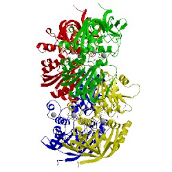 Image of CATH 1mg0