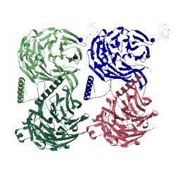 Image of CATH 1mg2