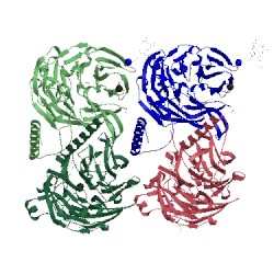 Image of CATH 1mg3