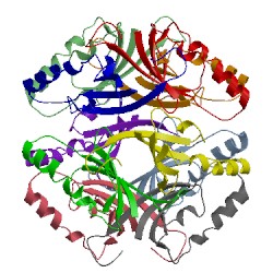 Image of CATH 1mli