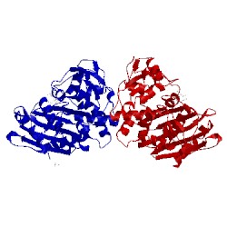 Image of CATH 1mxo