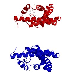 Image of CATH 1myh