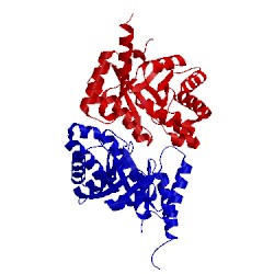 Image of CATH 1mzh