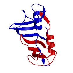 Image of CATH 1ncv