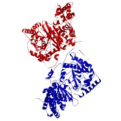 Image of CATH 1ndb