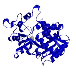 Image of CATH 1nft