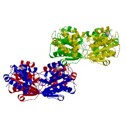 Image of CATH 1njf