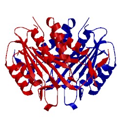 Image of CATH 1nmq