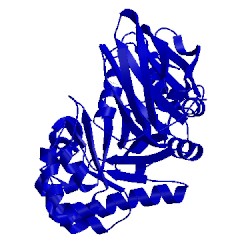 Image of CATH 1nof