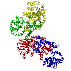 Image of CATH 1np3