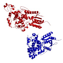 Image of CATH 1np7