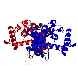 Image of CATH 1nub