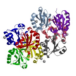 Image of CATH 1nw2