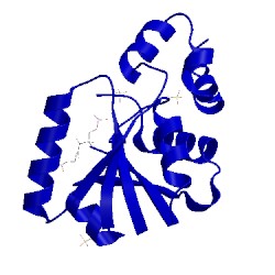 Image of CATH 1od6