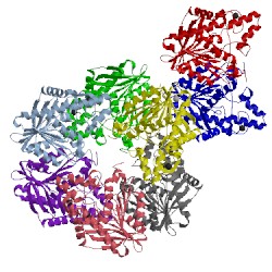 Image of CATH 1ods