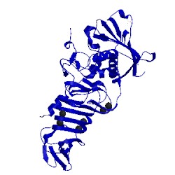 Image of CATH 1om6