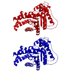 Image of CATH 1onr