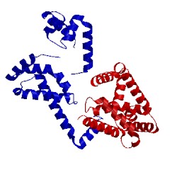 Image of CATH 1or7