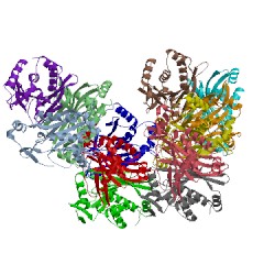 Image of CATH 1pd5