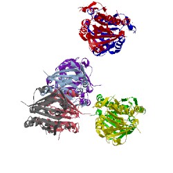 Image of CATH 1pdw