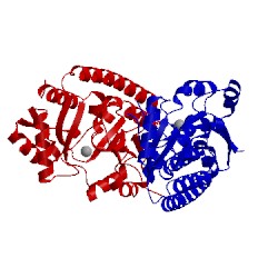 Image of CATH 1pq4