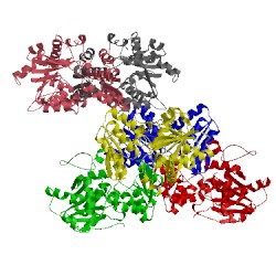 Image of CATH 1pwe