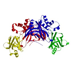 Image of CATH 1pxv