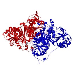 Image of CATH 1pyd