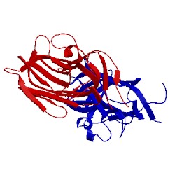 Image of CATH 1pz9