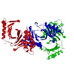 Image of CATH 1q4k