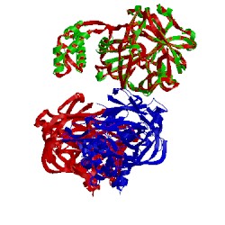 Image of CATH 1qdm