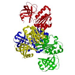 Image of CATH 1qfj