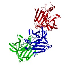 Image of CATH 1qil