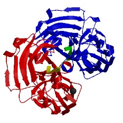 Image of CATH 1r17