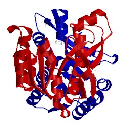 Image of CATH 1rc1