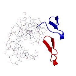 Image of CATH 1rh6