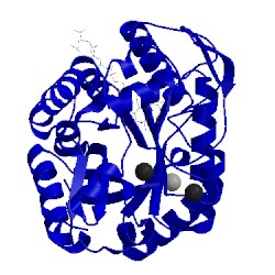 Image of CATH 1rhc