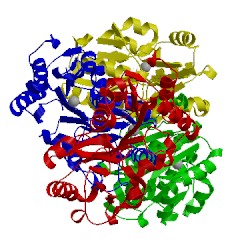 Image of CATH 1rlo