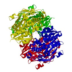 Image of CATH 1rpn