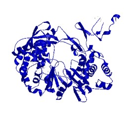 Image of CATH 1s48