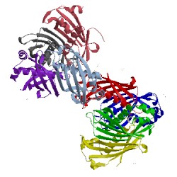 Image of CATH 1s5u