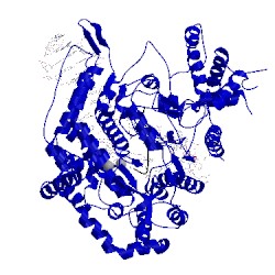 Image of CATH 1s77