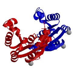 Image of CATH 1shk