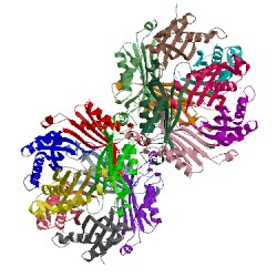 Image of CATH 1sql