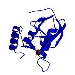 Image of CATH 1sta