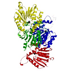 Image of CATH 1sui